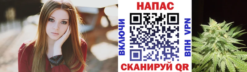 Канабис планчик  Купить  Муром 